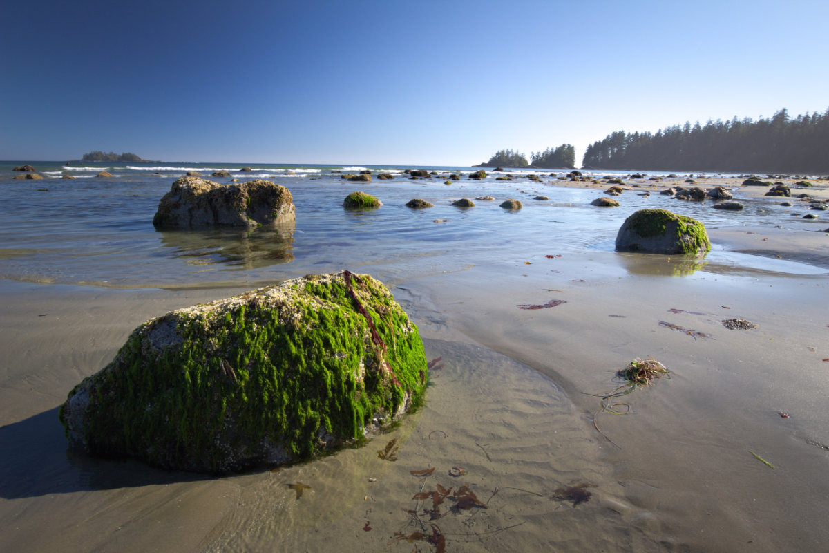 Park Narodowy Pacific Rim, Vancouver Island, Kanada Park Narodowy Pacific Rim, Vancouver Island, Kanada